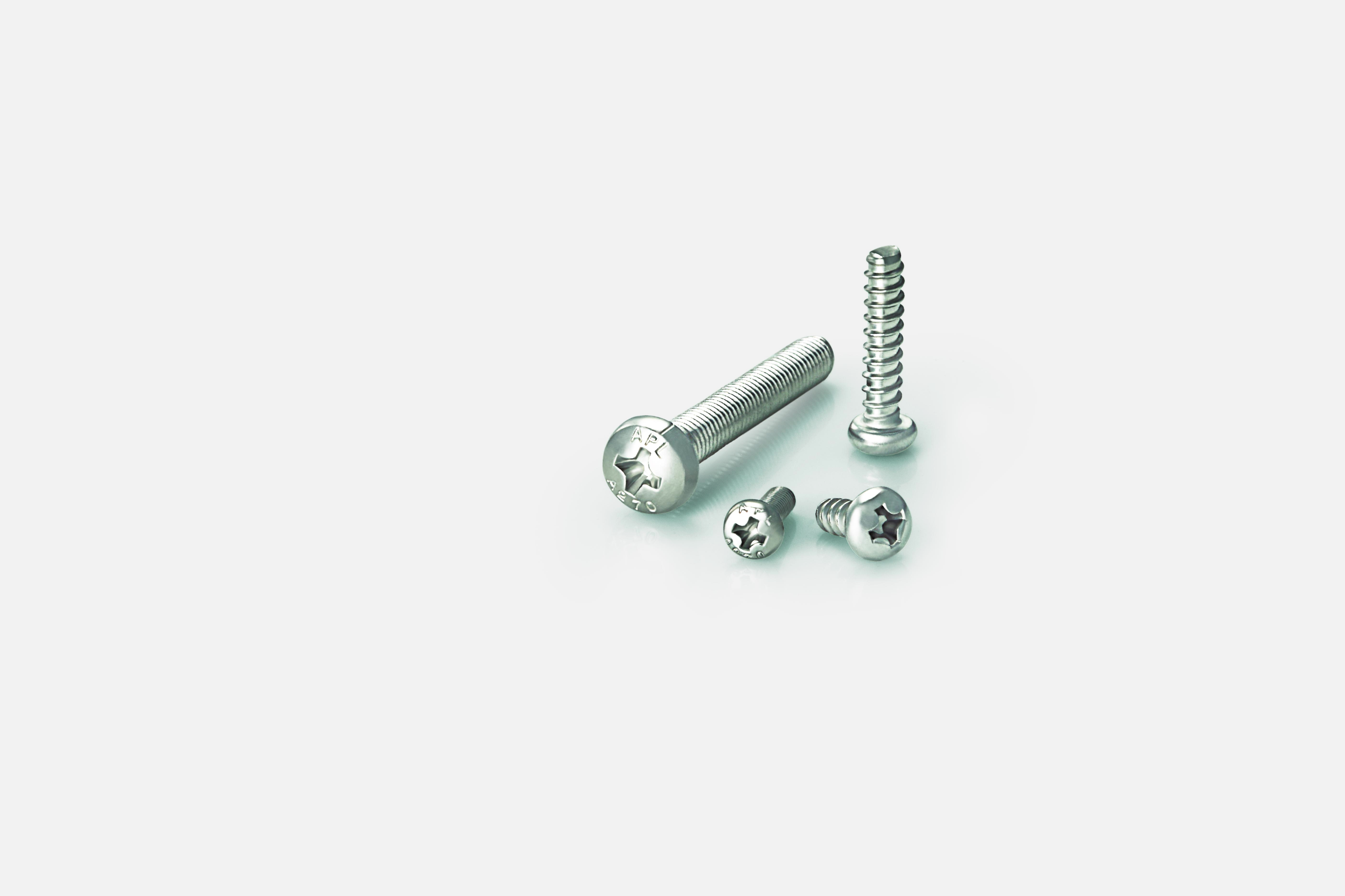 Pan Head Screw